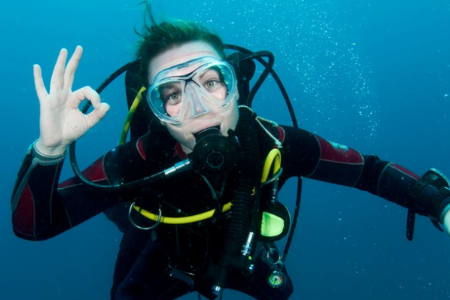 Partez à la découverte de la faune et de la flore sous-marine grâce à une sortie de plongée pour 1 personne