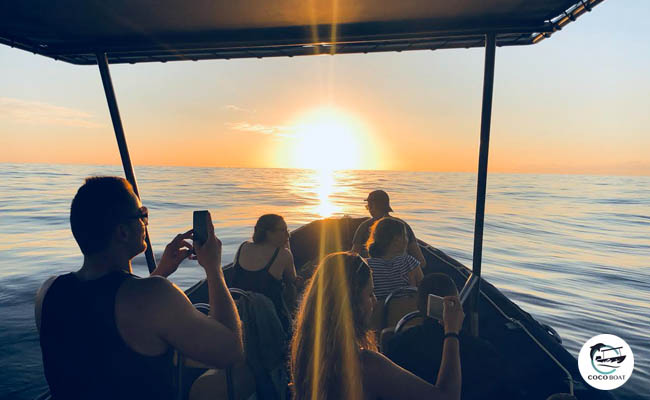 Une excursion découverte en bateau pour observer les dauphins, tortues et baleines de l’île de la Réunion