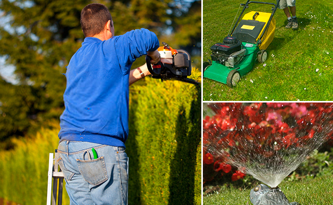 3h d'entretien de votre jardin dans la région Sud-Est